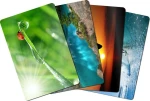 Esperanza EA133 mouse pad Multicolor