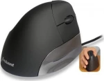 Evoluent VerticalMouse Ενσύρματο Ποντίκι Grey