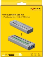 DeLock 9 Port USB 3.2 Gen 1 Hub with 1x USB Type-C PD 3.0 Port