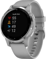 Garmin Vivoactive 4S 40mm (Powder Gray/Silver)