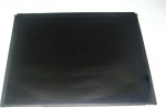 Οθόνη LCD (iPad 2)