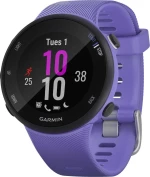 Garmin Forerunner 45S 39mm (Iris)