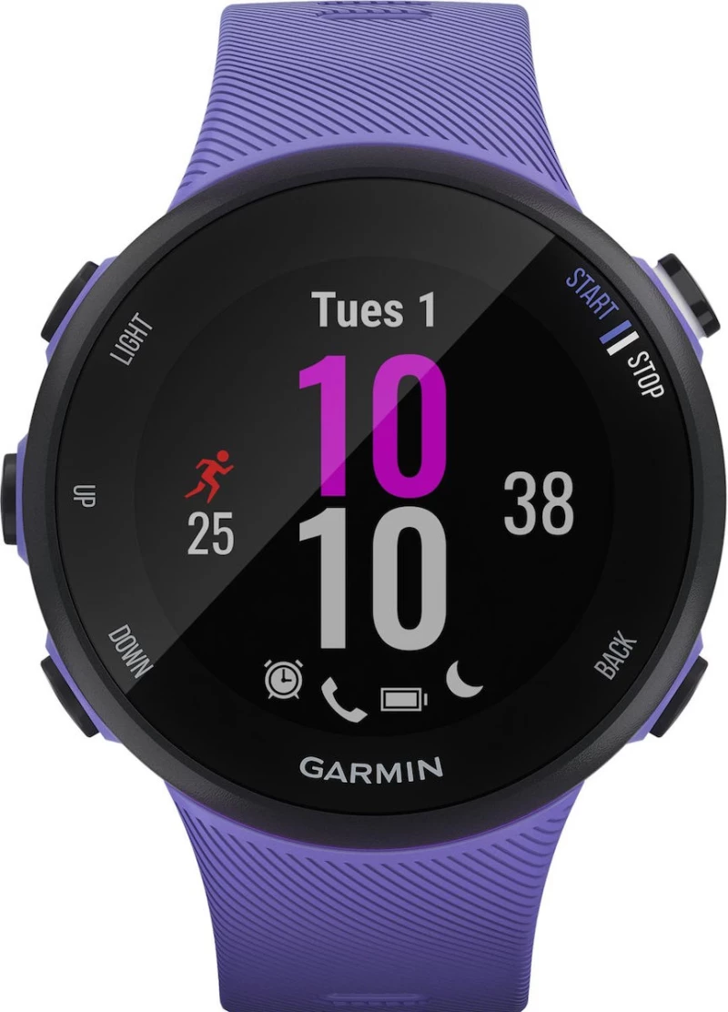 Garmin Forerunner 45S 39mm (Iris)