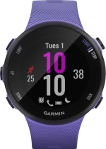 Garmin Forerunner 45S 39mm (Iris)