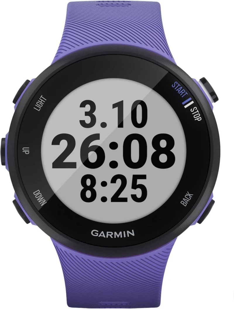 Garmin Forerunner 45S 39mm (Iris)