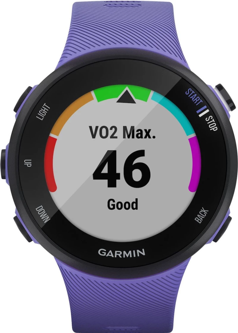 Garmin Forerunner 45S 39mm (Iris)