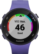 Garmin Forerunner 45S 39mm (Iris)