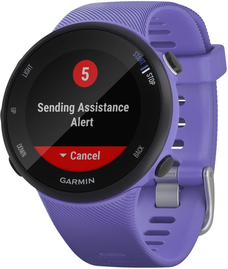 Garmin Forerunner 45S 39mm (Iris)