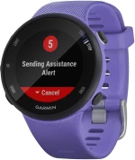 Garmin Forerunner 45S 39mm (Iris)
