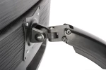 Digitus Universal Led/Lcd Monitor Mount