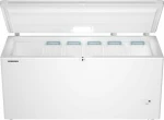 Liebherr CFd 2505 Plus