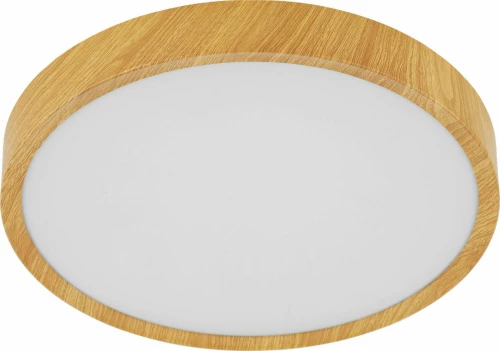 Φωτιστικό Οροφής-Πλαφονιέρα Led Musurita 98601 Ø340 3000K White Eglo