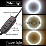 Ring Lamp Light 16cm