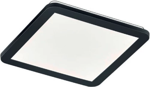 Trio Lighting Camillus R62931832