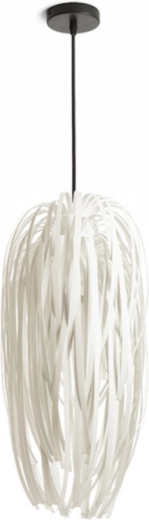 Rendl Light Studio Zala