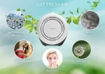 Trotec Airgoclean 10 E