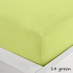 Sunshine Σεντόνι Υπέρδιπλο με Λάστιχο 160x200x40 Menta Green