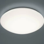 Trio Lighting Lukida R62961001