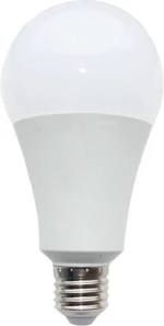 Diolamp Λάμπα LED για Ντουί E27 και Σχήμα A80 Θερμό Λευκό 1500lm