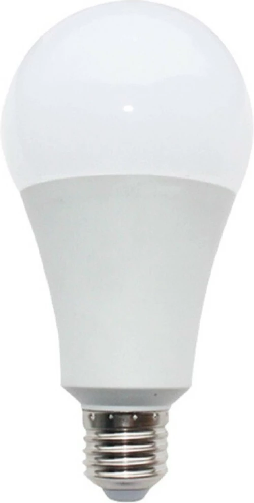 Diolamp Λάμπα LED για Ντουί E27 και Σχήμα A80 Ψυχρό Λευκό 1530lm