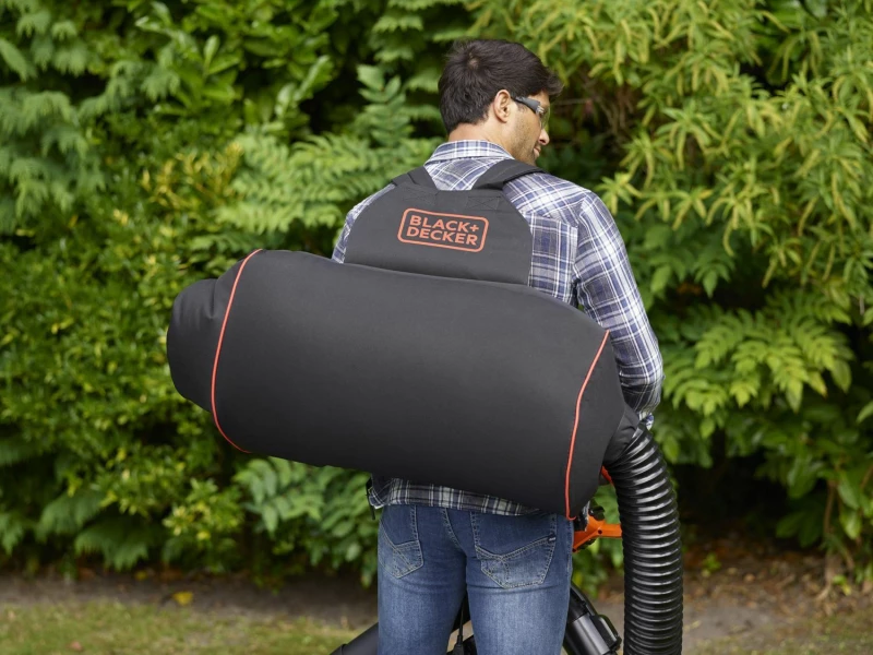 Black & Decker BEBLV301-QS