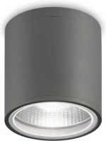 Ideal Lux Εξωτερικό Φωτιστικό Οροφής Gun 236865