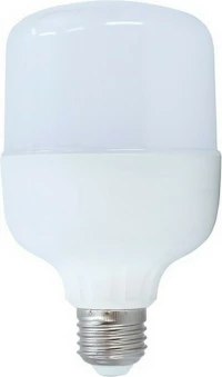 Λάμπα LED για Ντουί E27 Ψυχρό Λευκό 1530lm