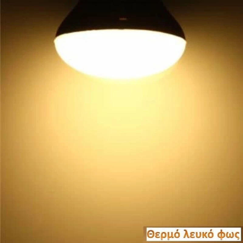 Diolamp Λάμπα LED για Ντουί E27 και Σχήμα PAR30 Θερμό Λευκό 1000lm
