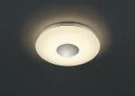 Trio Lighting Castor R62552506