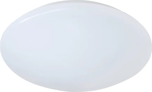 Trio Lighting Putz II R62601201