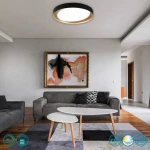 Trio Lighting Zeta Πλαφονιέρα Οροφής Μαύρη από Μέταλλο