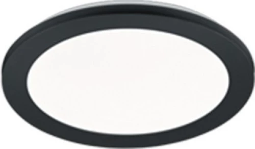 Trio Lighting Camillus R62921532