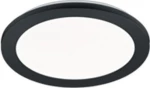 Trio Lighting Camillus R62921532