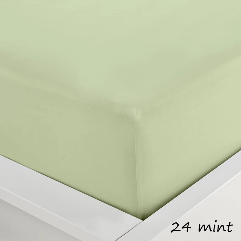 Sunshine Σεντόνι Μονό με Λάστιχο 100x200x20 152-122 Menta Mint 24