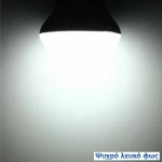 Diolamp Λάμπα LED για Ντουί E27 και Σχήμα A80 Ψυχρό Λευκό 850lm