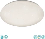 Trio Lighting Potz R62603000