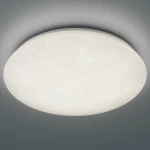 Trio Lighting Potz R62603000