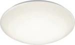 Trio Lighting Pollux R67831101