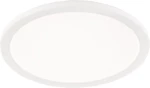Trio Lighting Camillus R62922401