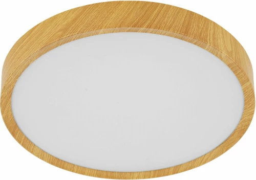 Φωτιστικό Οροφής-Πλαφονιέρα Led Musurita 98602 Ø440 3000K White Eglo