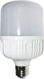 Diolamp Λάμπα LED για Ντουί E27 Ψυχρό Λευκό 1620lm