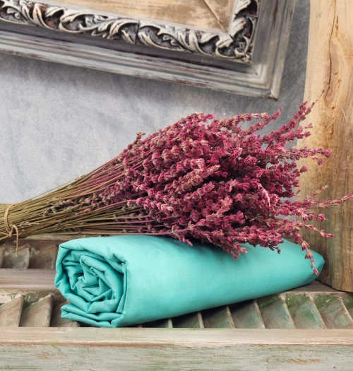 Σεντόνια Μονόχρωμα Angel Touch Cokitex Πράσινες Αποχρώσεις Mint Ημίδιπλο Λάστιχο (120Χ200+25)