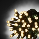100 Λαμπάκια LED Θερμό Λευκό με Προγράμματα, Σειρά, Πράσινο Καλώδιο Ρεύματος 8m TnS