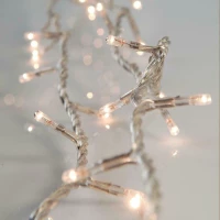 100 Λαμπάκια LED Λευκά 4mm , Σειρά, Διαφανές Καλώδιο Ρεύματος Eurolamp
