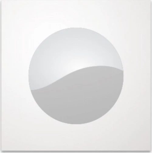 Φάκελλα για CD (100 ΤΜΧ)