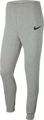 Nike Park 20 Fleece Grey
