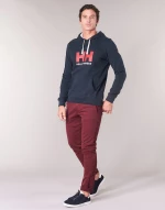 Helly Hansen Logo Hoodie 33977-597