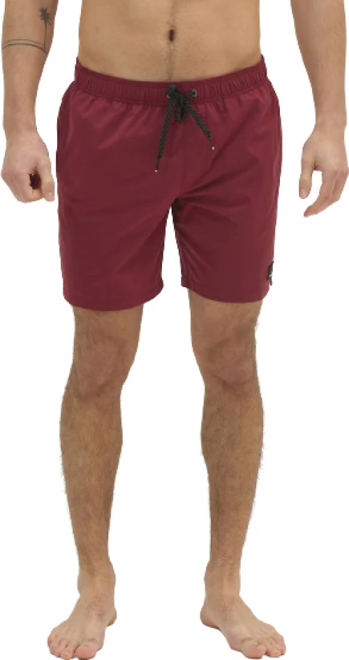 Emerson μαγιό 211.EM508.36 Dusty Berry