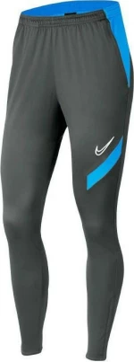 Nike Dry Academy Pro Pants Grey
