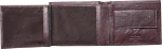 Pierre Cardin TILAK24 8807 Coffee